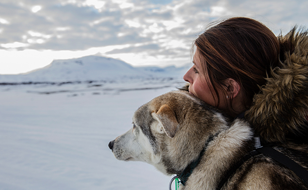 winter with dog